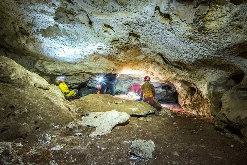 У пещеры «Таврида» в Крыму появится древняя саванна с гигантскими животными