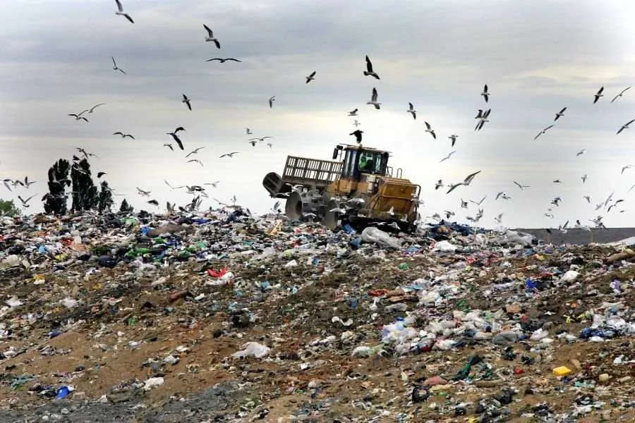 В Севастополе обещают построить мусороперерабатывающий завод в виде эко-парка