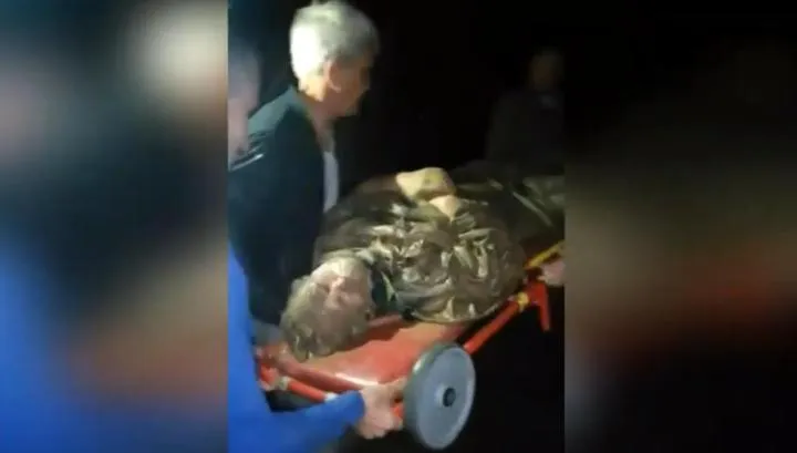 Пенсионерка сутки простояла в трясине, рыком отпугивая медведя