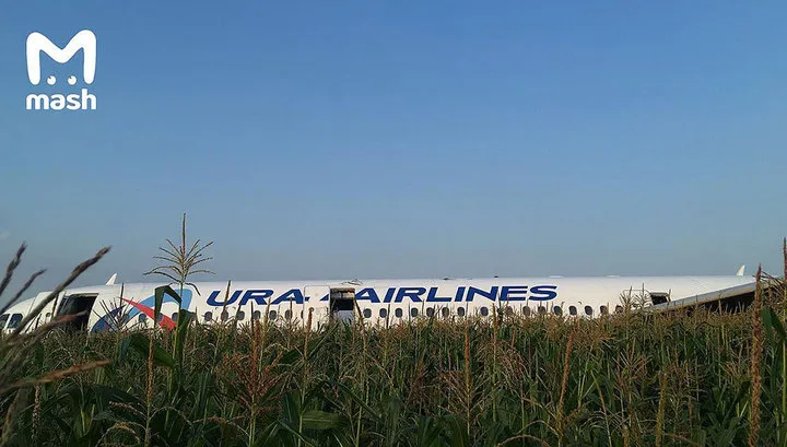 Самолет Москва-Симферополь жестко сел в кукурузное поле