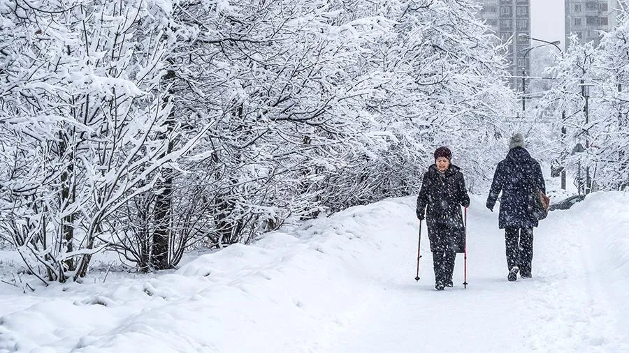 В России сильный снегопад признали поводом прогулять работу