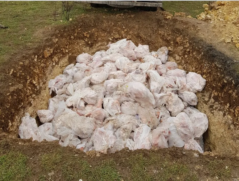Севастопольский предприниматель выбросил 2 тонны мяса