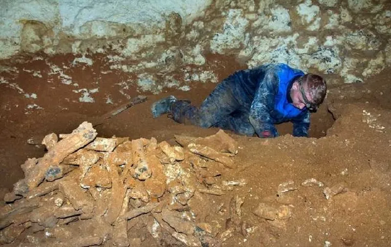 В пещере «Таврида» в Крыму надеются найти останки древнего человека