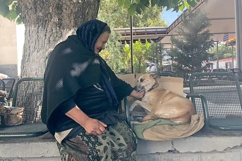 Бездомная старушка ради собаки остается жить на вокзале в Крыму