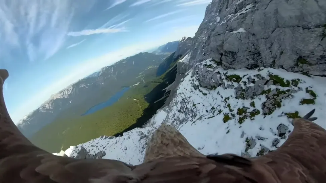 Орел снял на видео свой полет над Альпами
