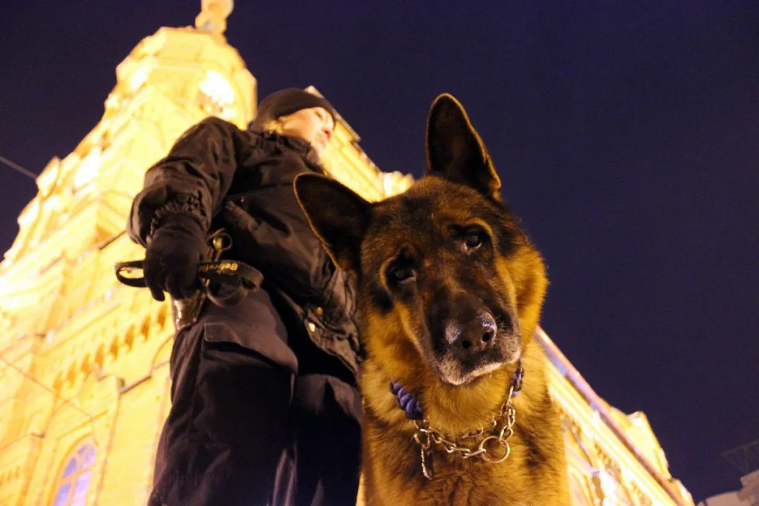 Служебный пёс «сдал» наркоторговца из Севастополя