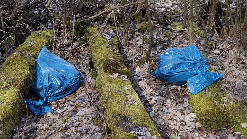 Минприроды не видит риска «мусорного коллапса» в Севастополе