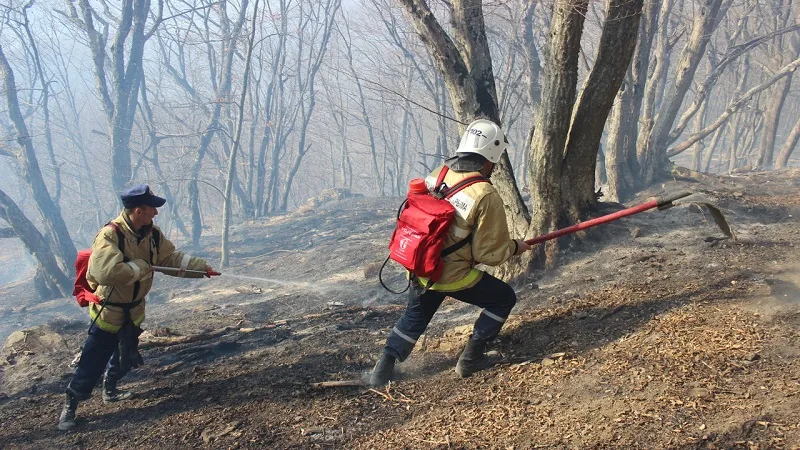 В Крыму режим ЧС: больше 50 гектаров леса горит под Симферополем