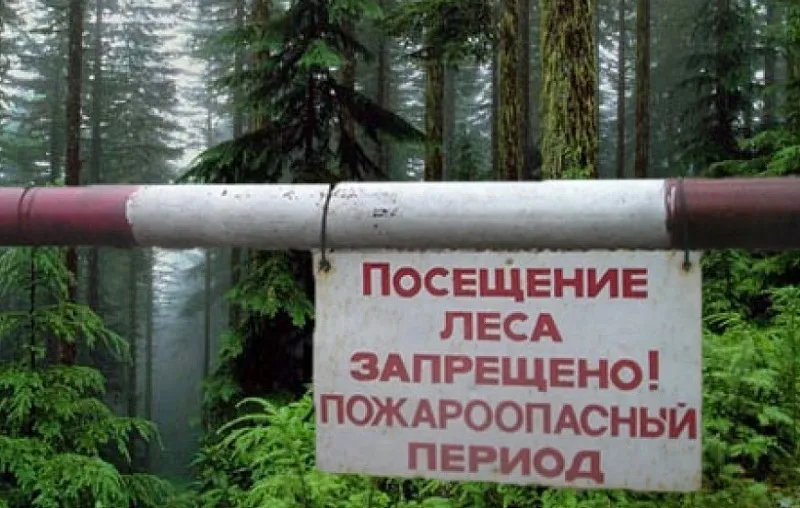 Леса в Крыму станут недоступными для любителей природы
