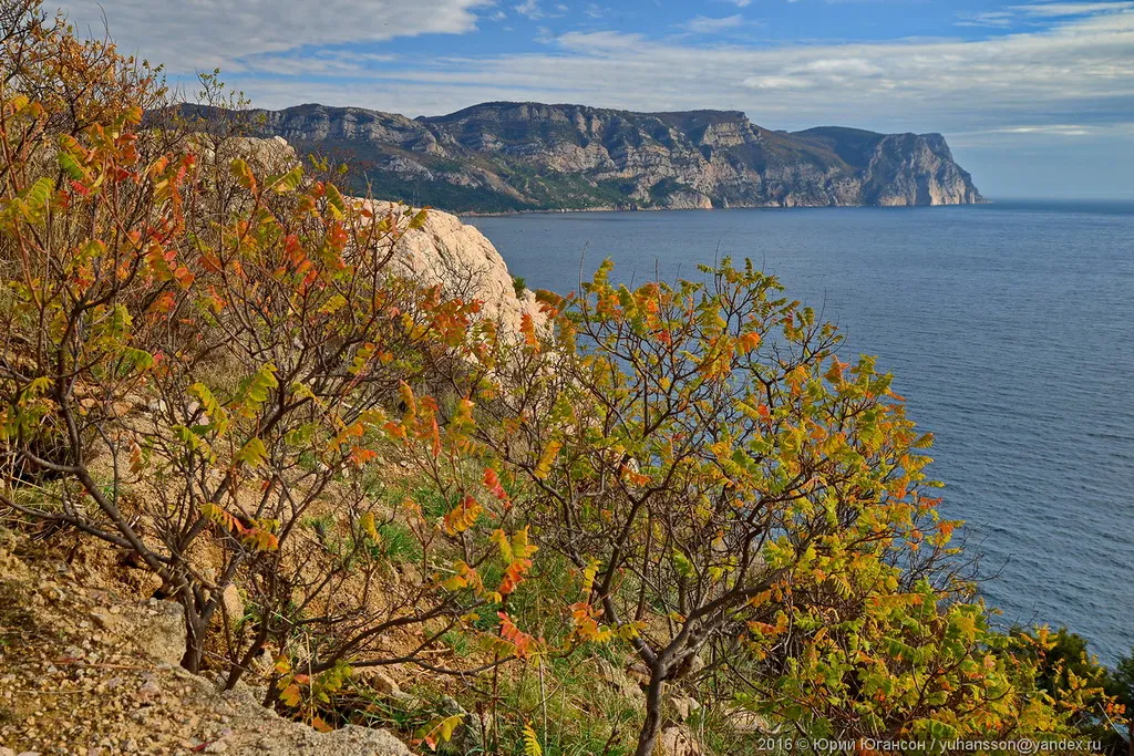 Севприроднадзор незаконно работал на инвестора Овсянникова 