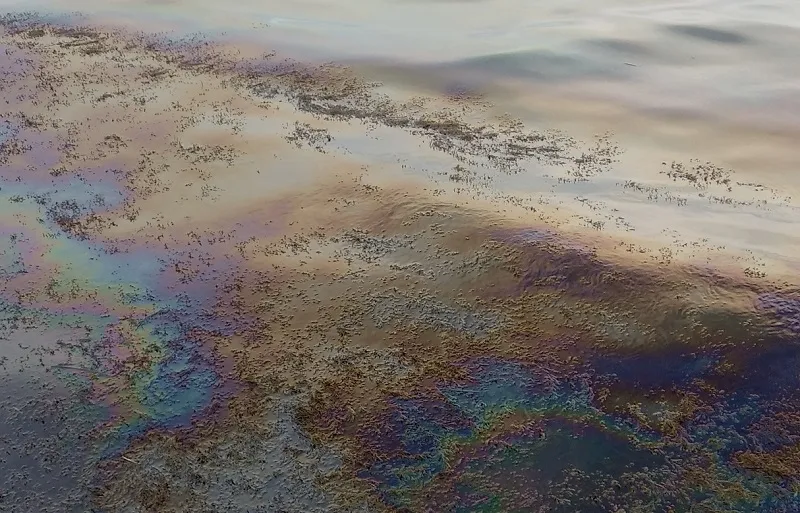 Море у берегов в Керчи превратилось в клоаку с нефтепродуктами