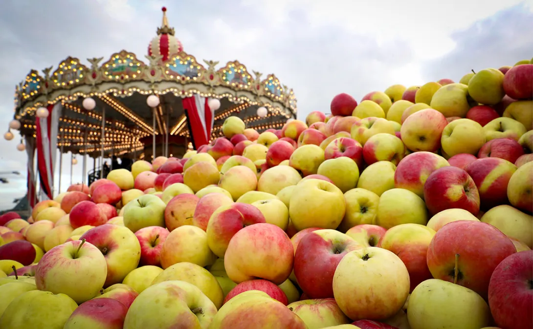 Почему рекордный урожай привел к росту отпускных цен на яблоки