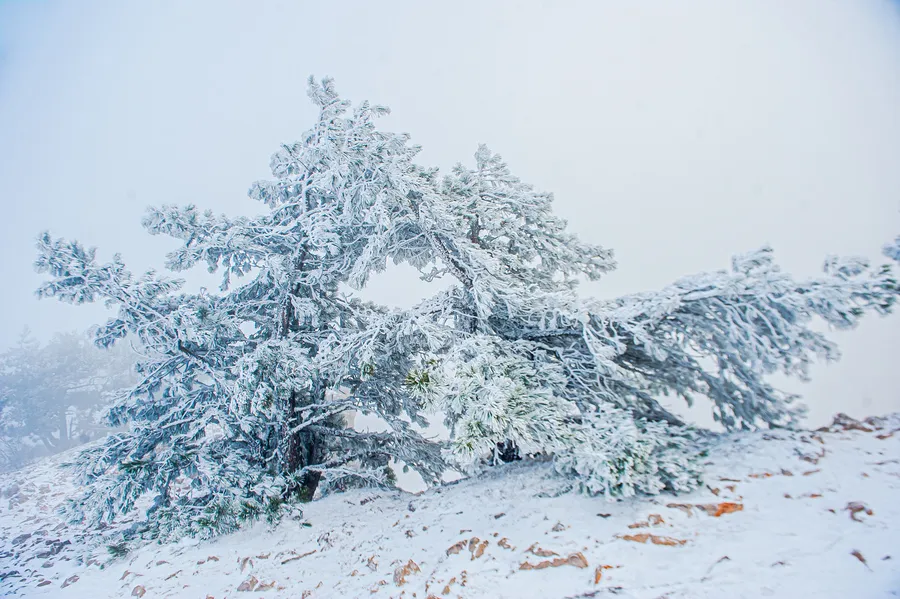 Где найти тонны снега под Севастополем 4 января. Фоторепортаж