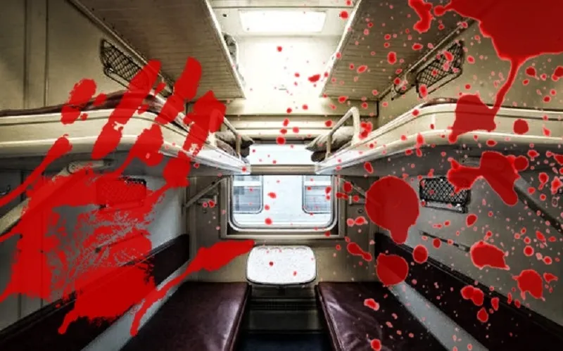 Пассажир поезда Севастополь — Санкт-Петербург с ножом напал на попутчиков 