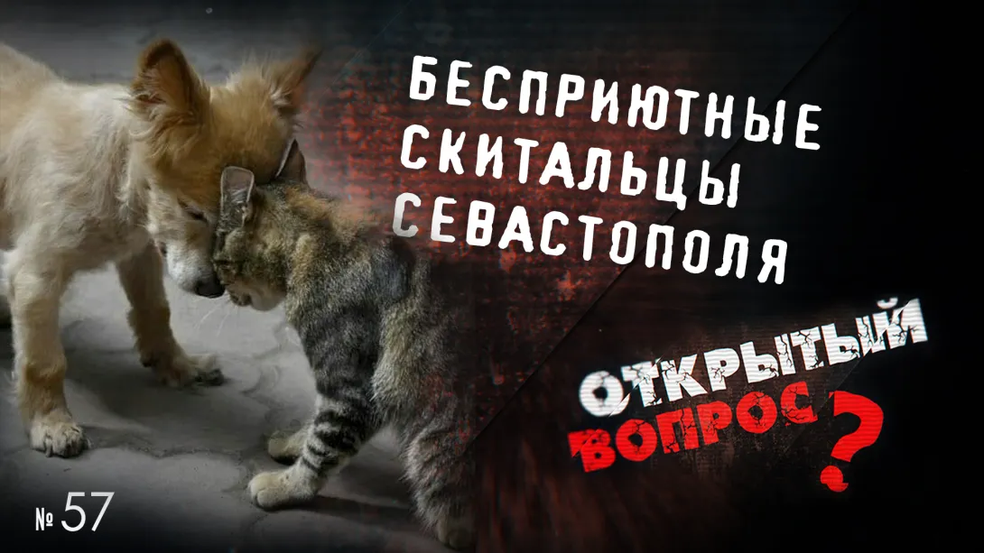 Открытый вопрос. Кто готов спустить всех собак к правительству Севастополя? 