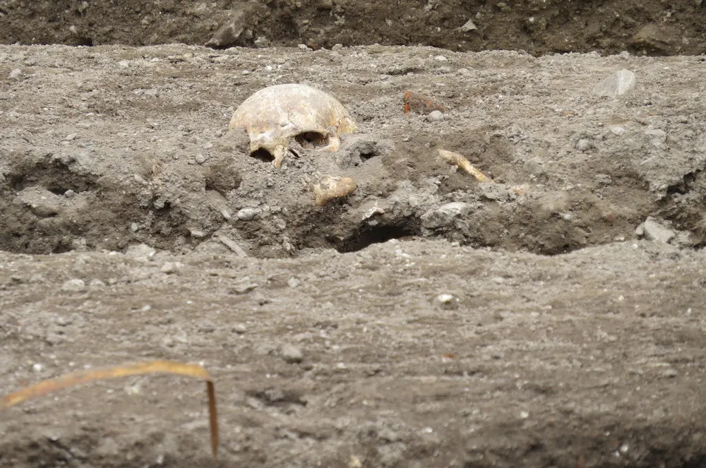 В Севастополе обнаружили херсонесита со «вторым скелетом»