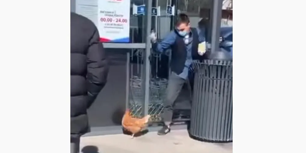 Украинец выгулял курицу на поводке, чтобы уклониться от соблюдения карантина