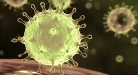 Назван самый ранний срок окончания эпидемии коронавируса в России