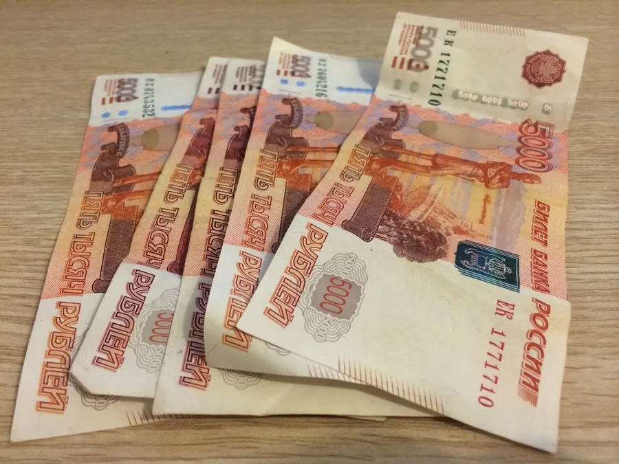Депутаты Москвы и Петербурга попросили власти выплатить всему населению по 25 тыс. руб.