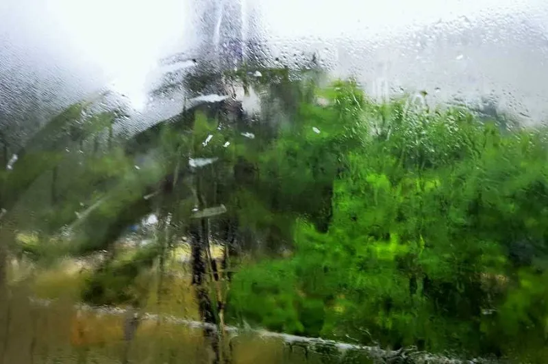 Севастополь ждут дождливые выходные