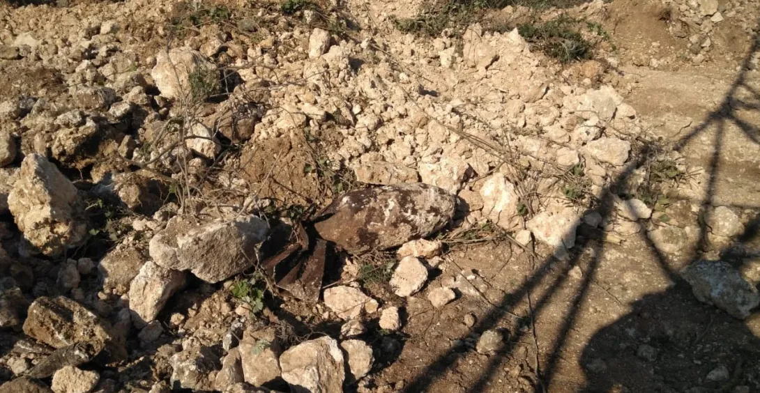 В Севастополе обнаружили бомбу на садовом участке