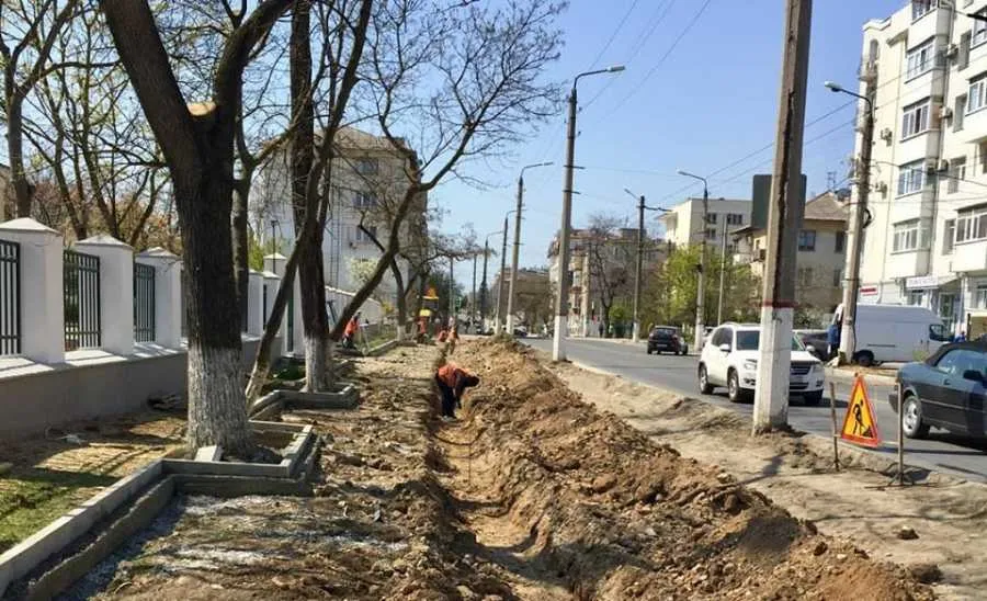Ремонт дороги в Севастополе убил 256 деревьев