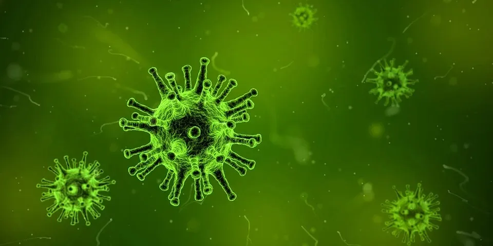 В Китае опровергли прежнюю версию происхождения коронавируса