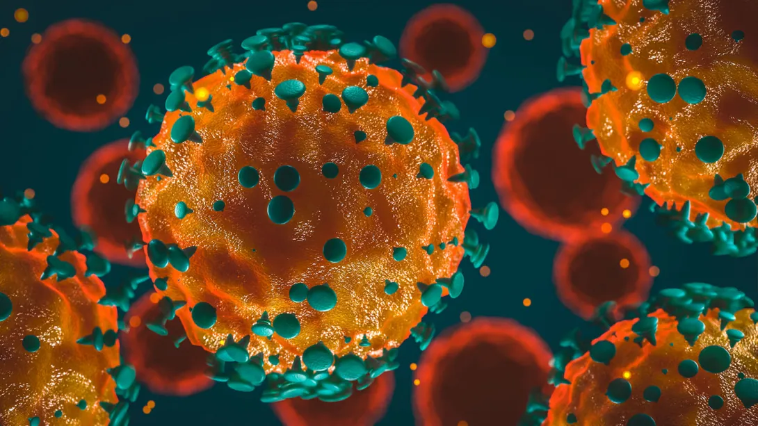 Ученые: особенности иммунной системы детей позволяют им легче справляться с коронавирусом 