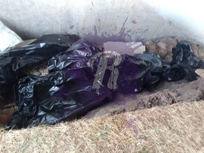 «Коммунарка» потеряла мешки для трупов с кровью умерших от ковида