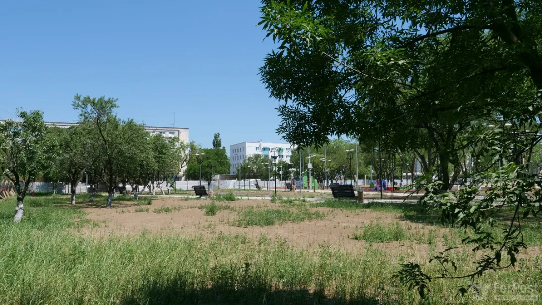 В Севастополе готовят к открытию лысый парк