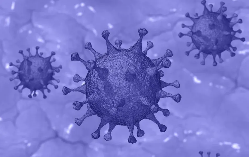 Севастополь стал лидером по коэффициенту распространения коронавируса