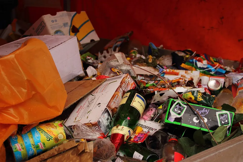 В Севастополе может измениться стоимость вывоза мусора