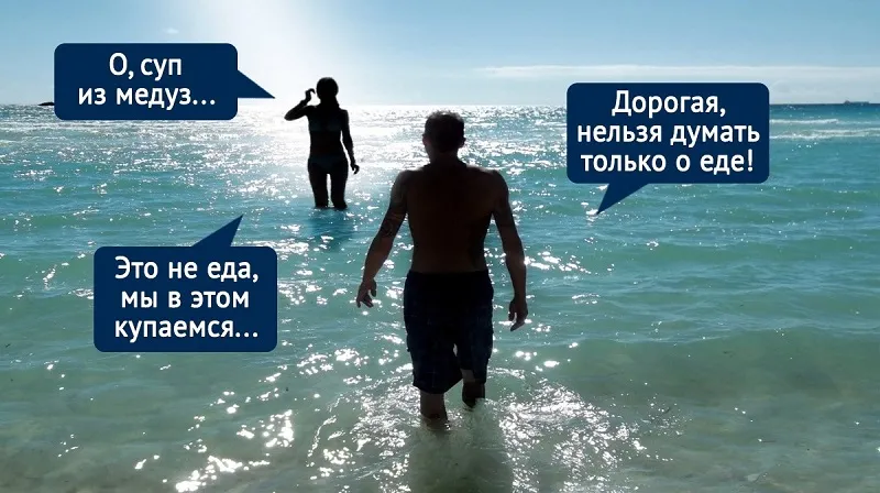 Черное море у берегов Крыма омедузилось