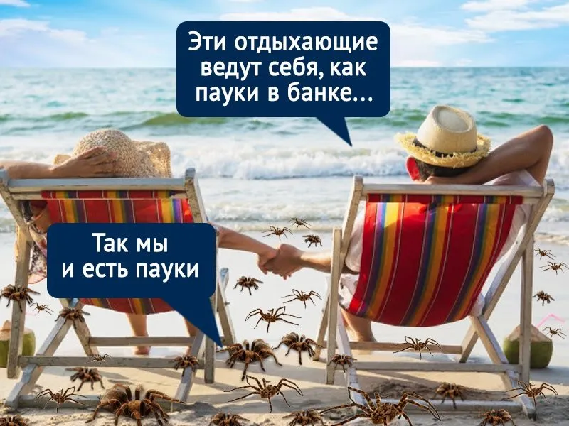В Крыму пауки вытесняют отдыхающих с пляжей