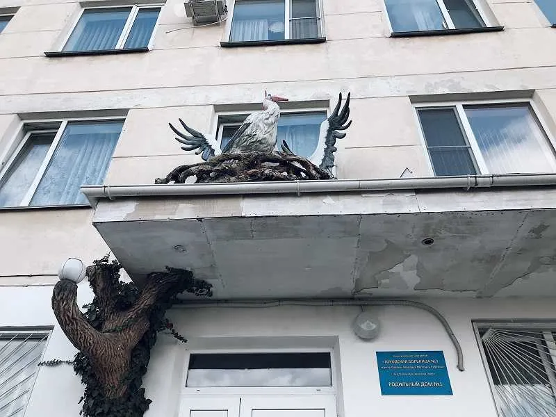 В Севастополе у роженицы подозревают коронавирус