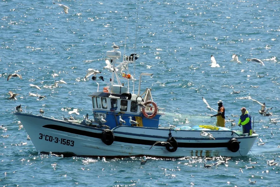 Традиции рыболовецкого флота возвращаются в Севастополь