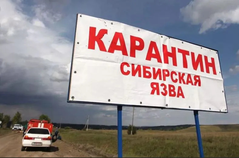 На юге Украины подтвердили случай сибирской язвы