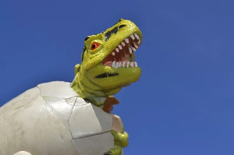 На Кузбассе нашли окаменелое яйцо динозавра 