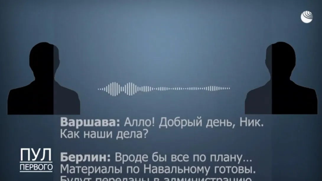 Опубликована запись разговора Берлина и Варшавы по делу Навального