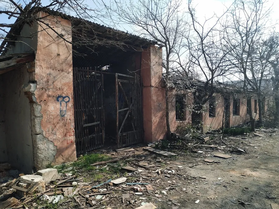 Почва под будущей школой в Севастополе может быть токсична и опасна