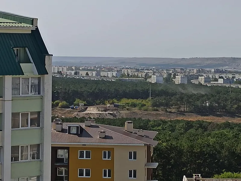 Лес в Крыму разменяли на электричество и воду