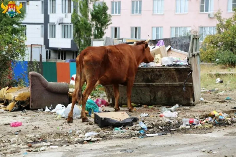Россиян призвали заварить мусоропроводы