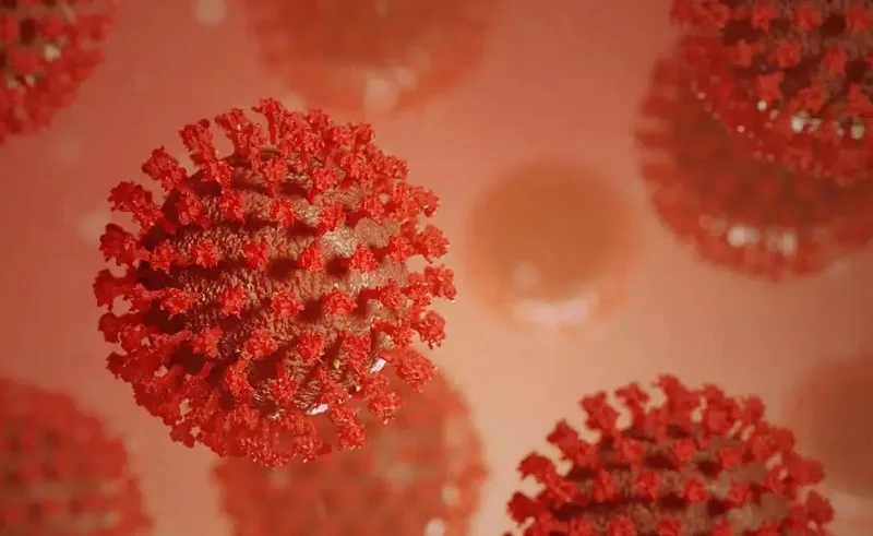 В России выявили случай двойного заражения коронавирусом