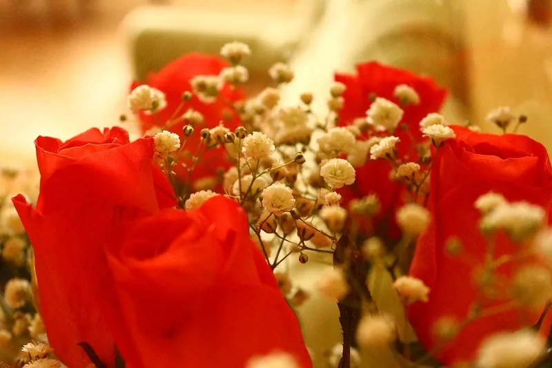 Подростки из Крыма ограбили киоск ради двух букетов алых роз