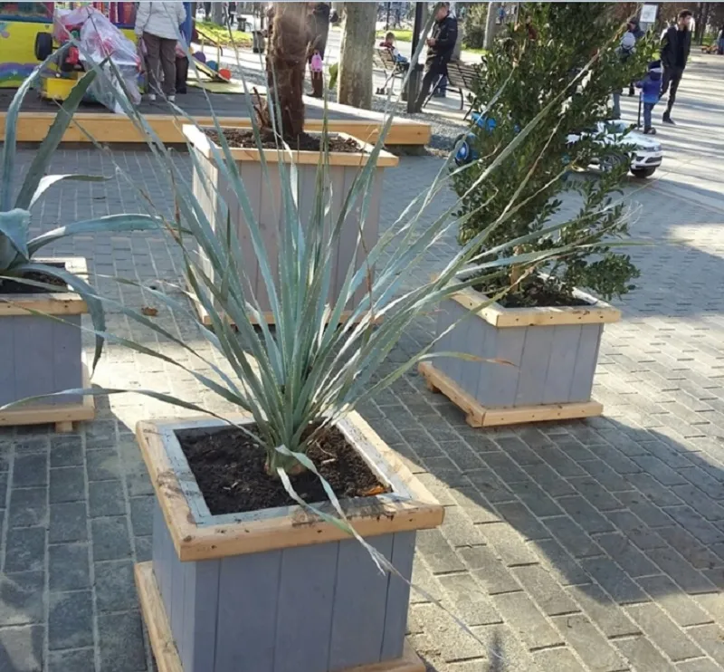 Севсети#1149: Плюрализм по-севастопольски, потерянный друг и тамбовский врач