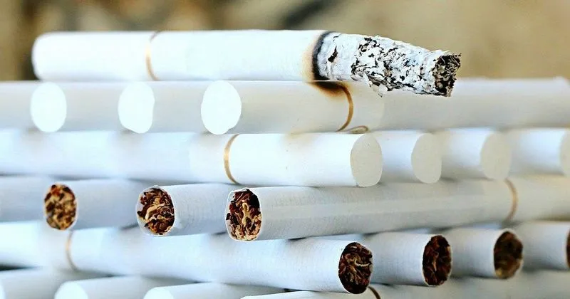 Все сигареты в России сделают самозатухающими