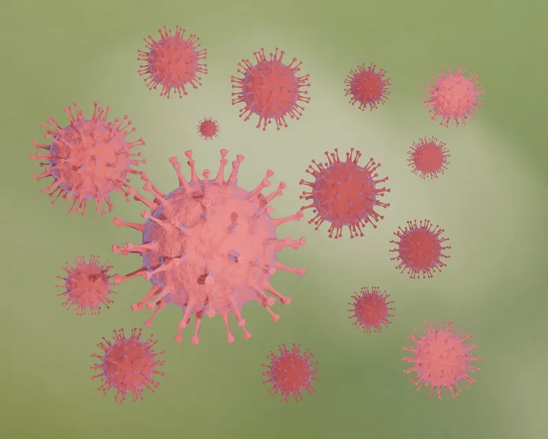 Раскрыто происхождение коронавируса SARS-CoV-2
