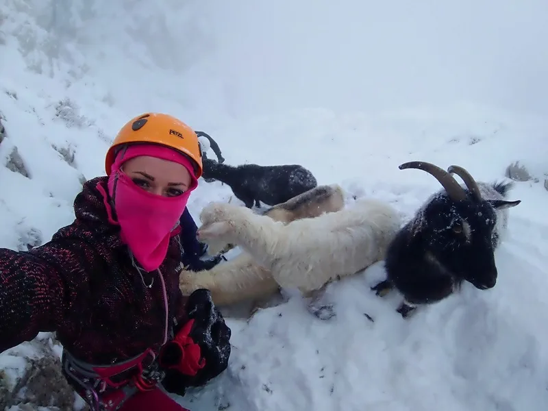 В снегах Крымских гор туристы встретили стадо коз