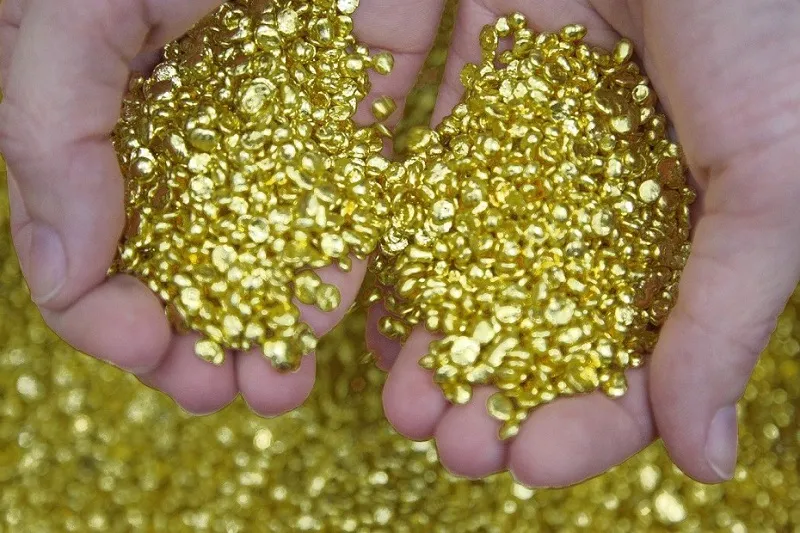 У депутата Госдумы конфисковали семь тонн золота