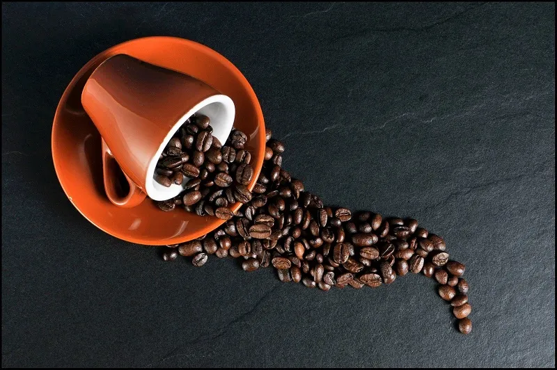 Остывший кофе с молоком опасен для здоровья